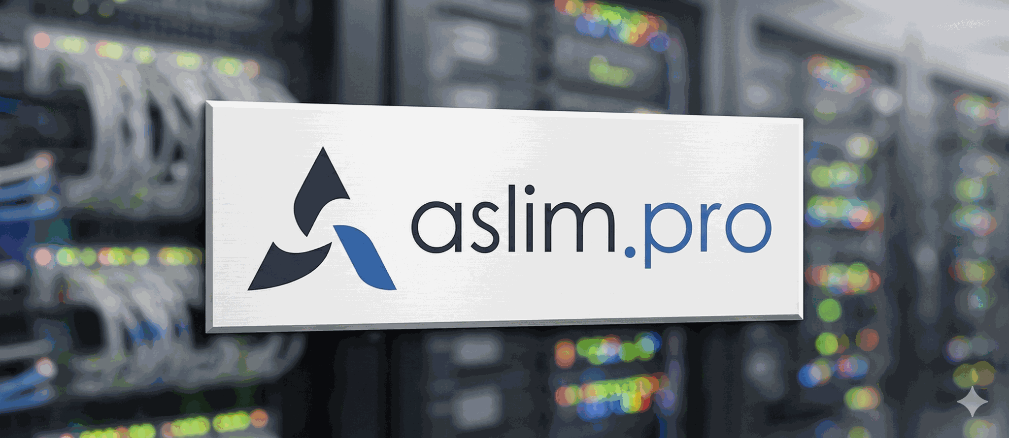 Why We Built ASLIM.PRO